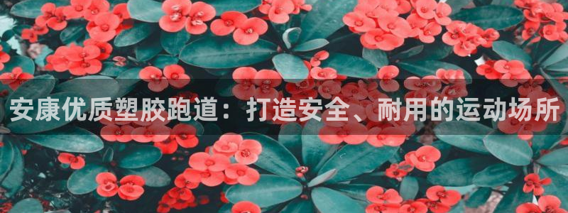 谈球吧体育app下载官网安卓：安康优质塑胶跑道：打造安全、耐用的运动场所