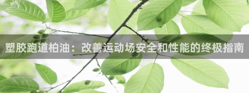 谈球吧体育app下载官网手机版：塑胶跑道柏油：改善运动场安全和性能的终极指南