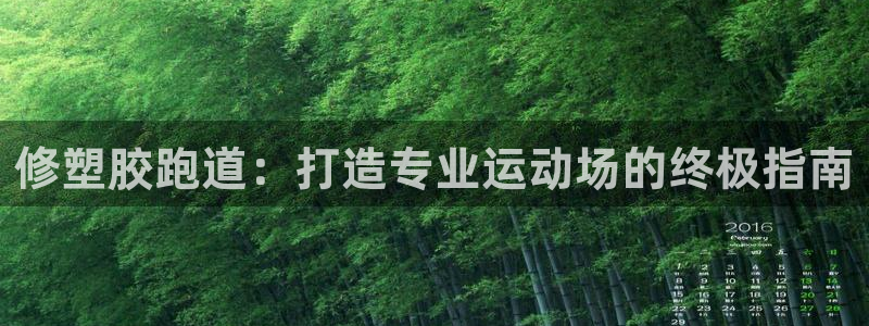 谈球吧在线：修塑胶跑道：打造专业运动场的终极指南