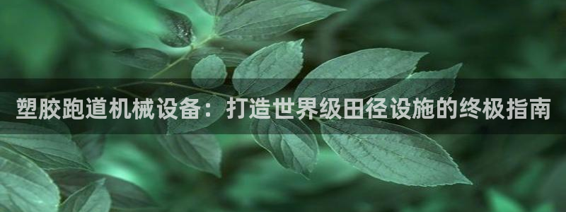 谈球吧网址：塑胶跑道机械设备：打造世界级田径设施的终极指南